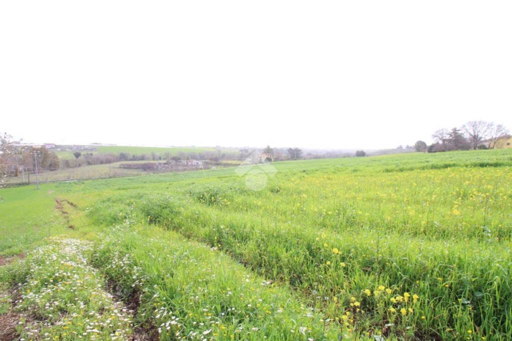 terreno agricolo in vendita a Pomezia in zona Santa Procula