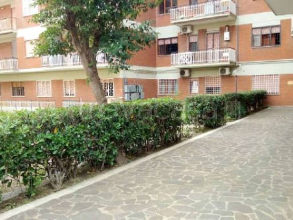 appartamento in vendita a Pomezia