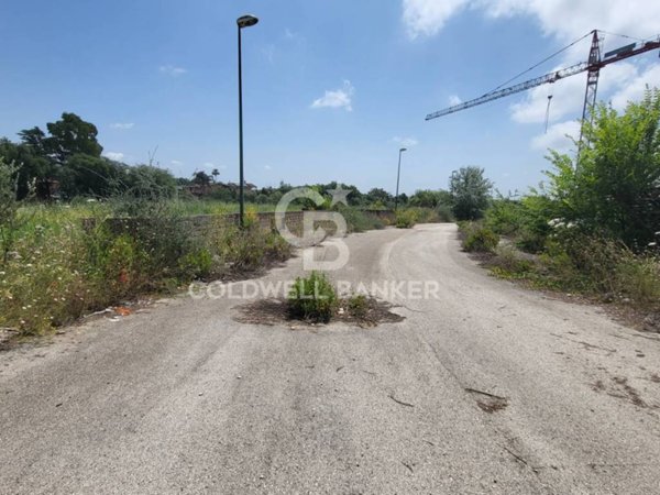 terreno agricolo in vendita a Pomezia in zona Santa Procula