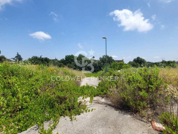 terreno agricolo in vendita a Pomezia in zona Santa Procula