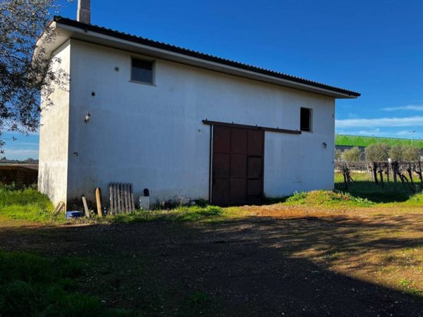 terreno agricolo in vendita a Pomezia in zona Santa Palomba