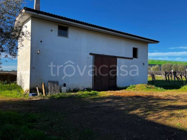 terreno agricolo in vendita a Pomezia