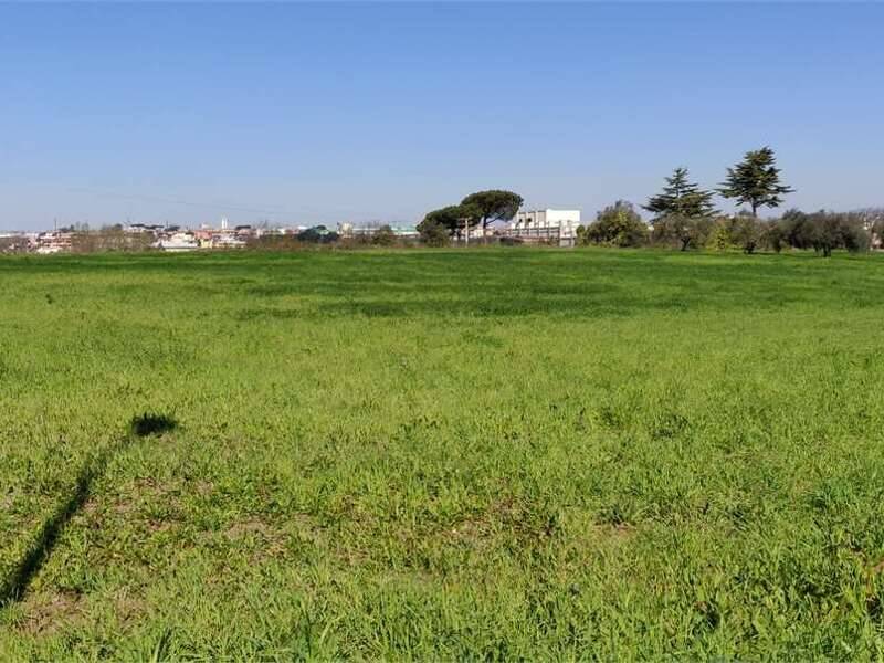 terreno edificabile in vendita a Pomezia in zona Santa Procula