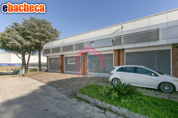 locale commerciale in vendita a Pomezia