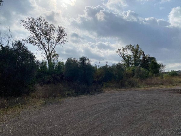 terreno agricolo in vendita a Pomezia in zona Santa Procula