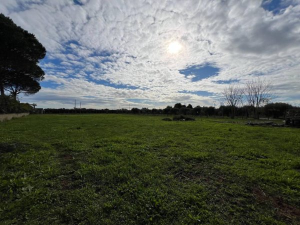 terreno agricolo in vendita a Pomezia in zona Santa Procula
