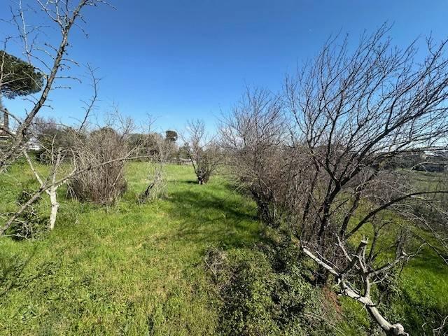terreno agricolo in vendita a Pomezia in zona Santa Palomba
