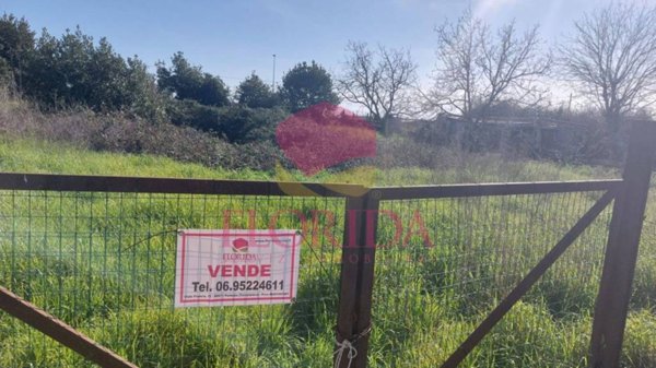 terreno agricolo in vendita a Pomezia in zona Torvaianica