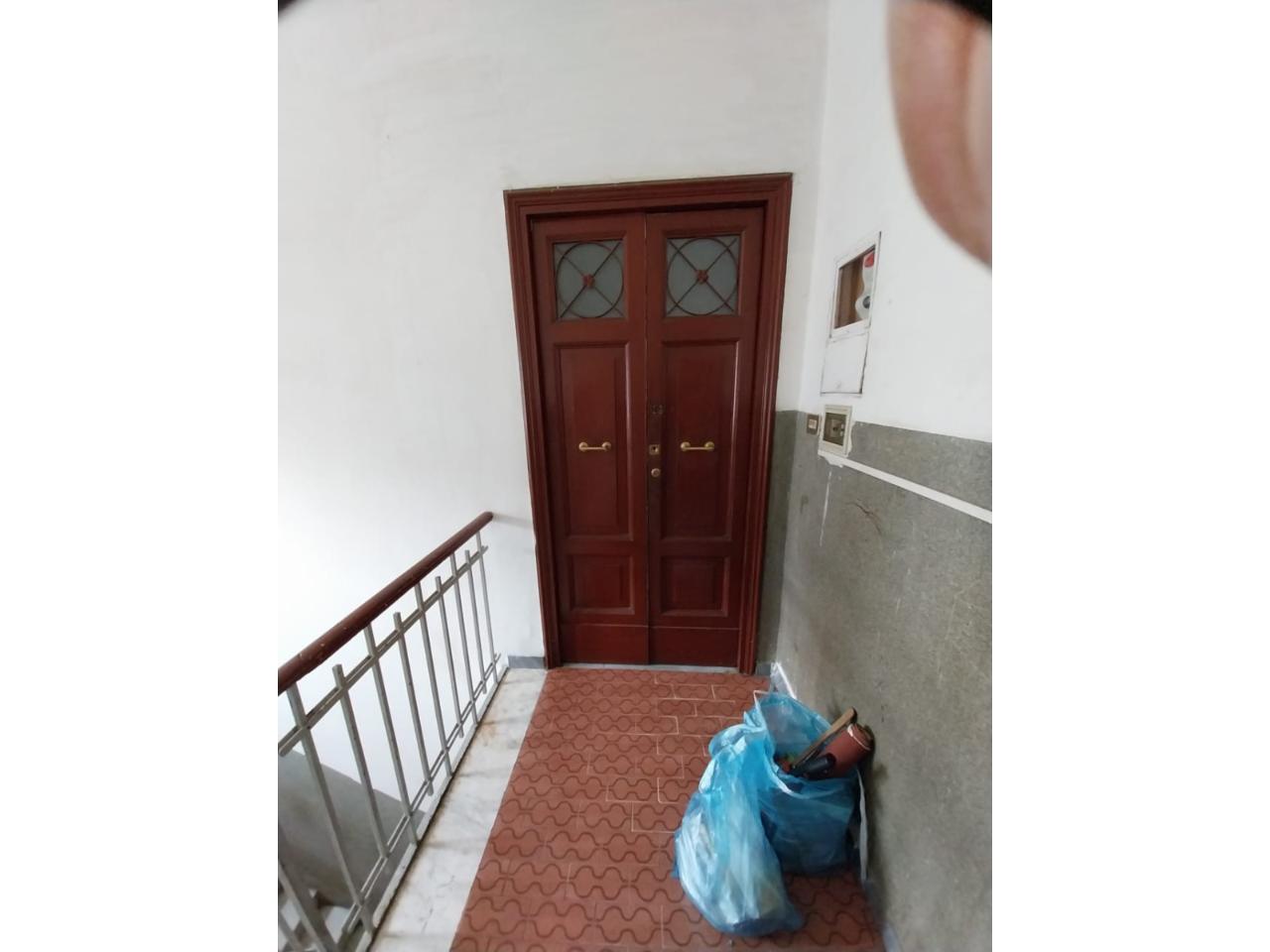 immagine annuncio 0 di 15