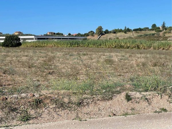 terreno agricolo in vendita a Pomezia in zona Santa Palomba