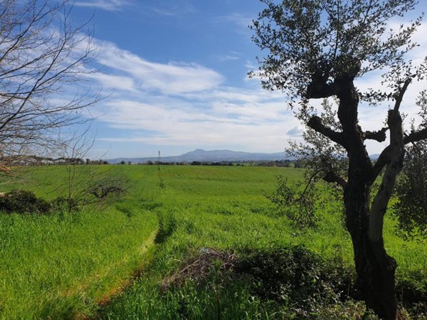 terreno agricolo in vendita a Pomezia in zona Santa Procula