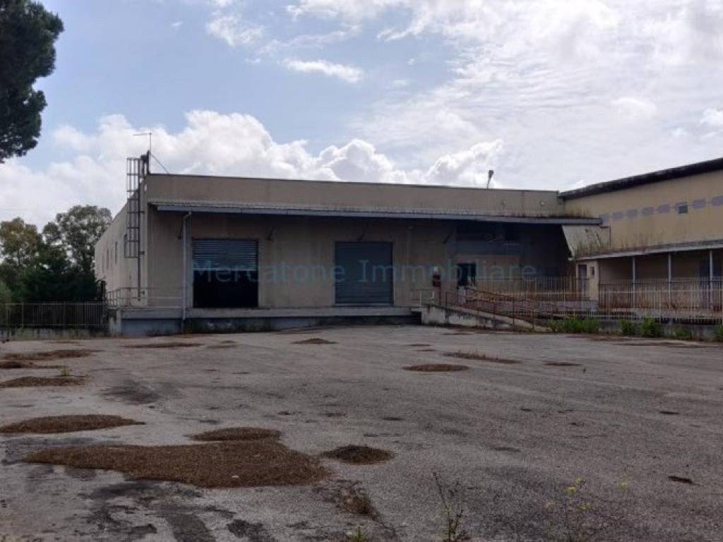 capannone in vendita a Pomezia in zona Santa Procula