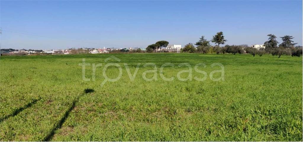 terreno agricolo in vendita a Pomezia in zona Santa Procula