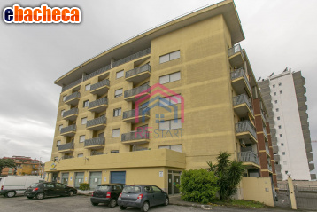 locale commerciale in vendita a Pomezia
