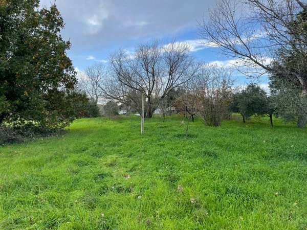 terreno agricolo in vendita a Pomezia in zona Castagnetta