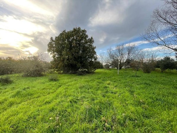 terreno agricolo in vendita a Pomezia in zona Castagnetta