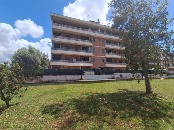 appartamento in vendita a Pomezia in zona Santa Procula