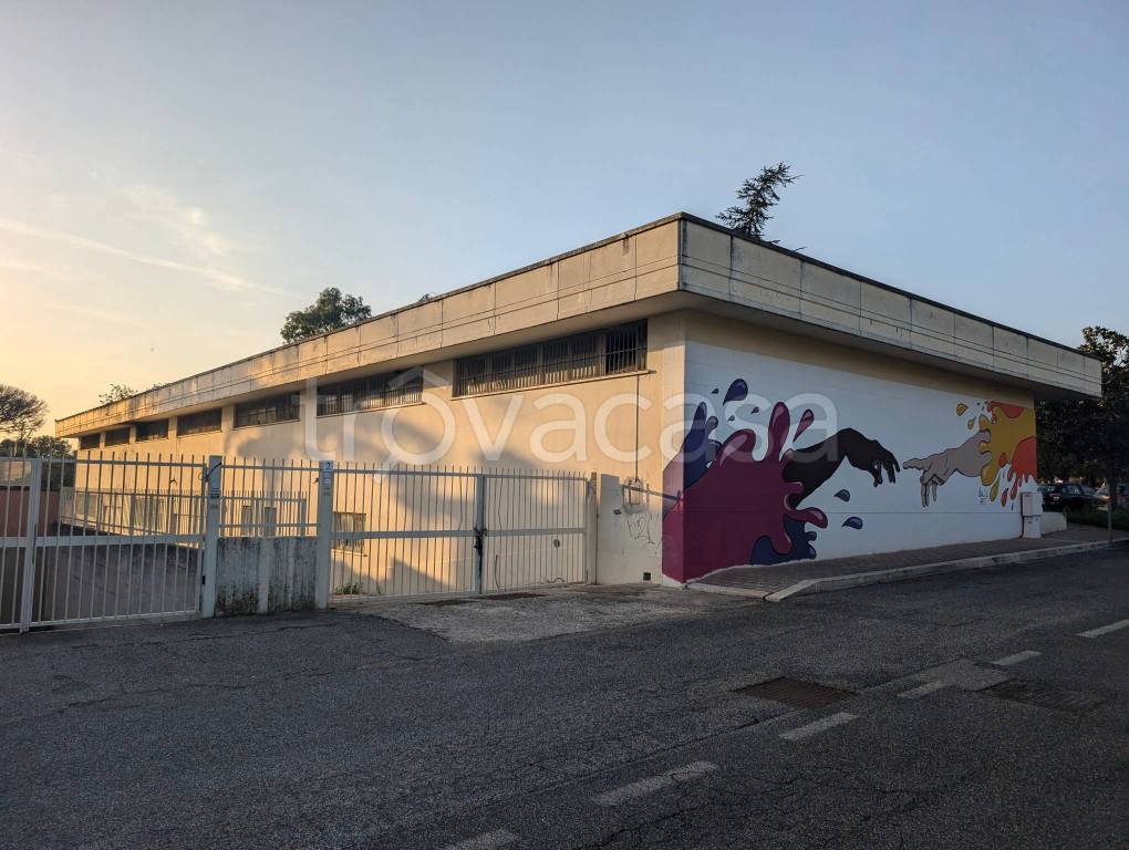 negozio in vendita a Pomezia in zona Santa Procula