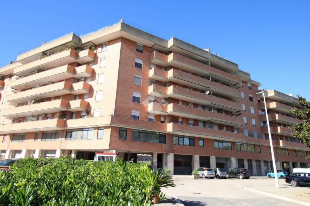 immagine annuncio 0 di 15