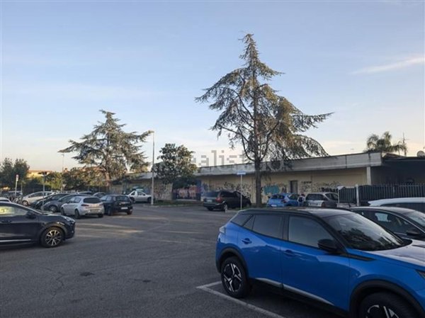 locale commerciale in vendita a Pomezia in zona Santa Procula