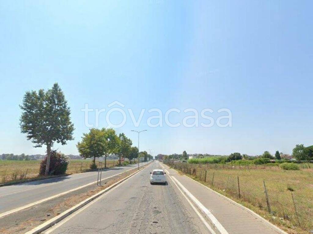 terreno agricolo in vendita a Pomezia