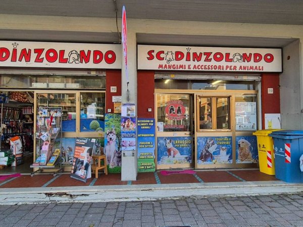 negozio in vendita a Pomezia in zona Torvaianica