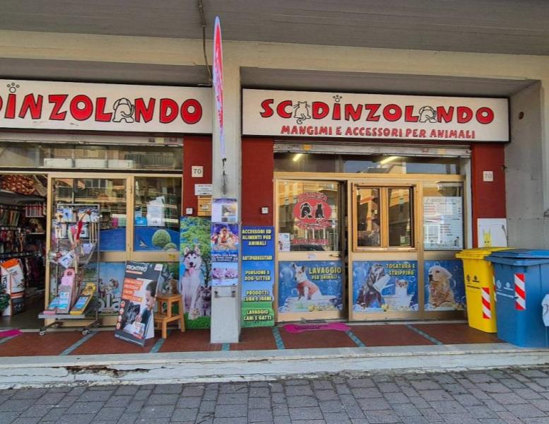 negozio in vendita a Pomezia in zona Torvaianica