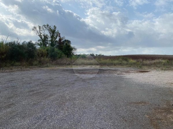 terreno agricolo in vendita a Pomezia