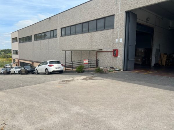negozio in vendita a Pomezia
