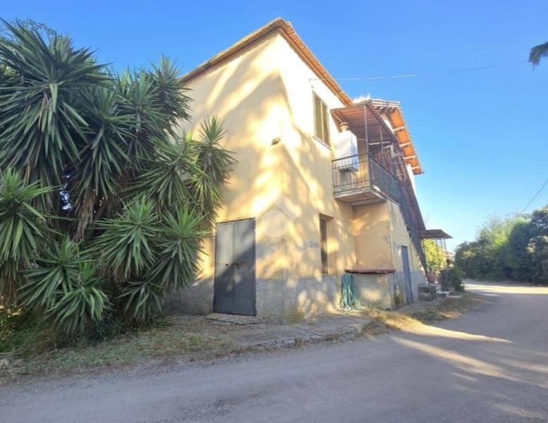 immagine annuncio 0 di 15