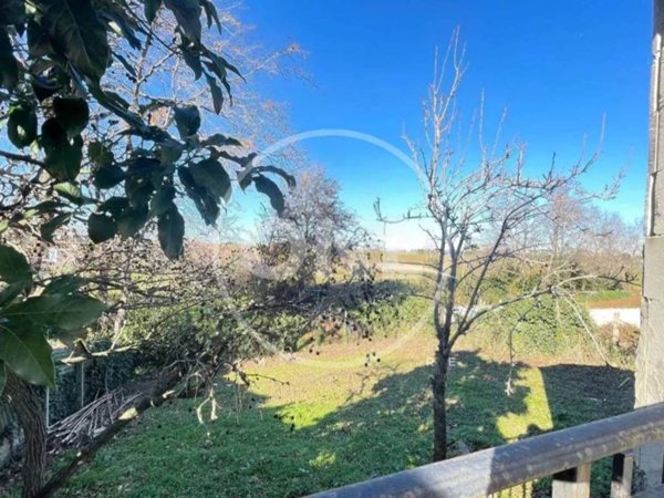 terreno agricolo in vendita a Pomezia in zona Castagnetta