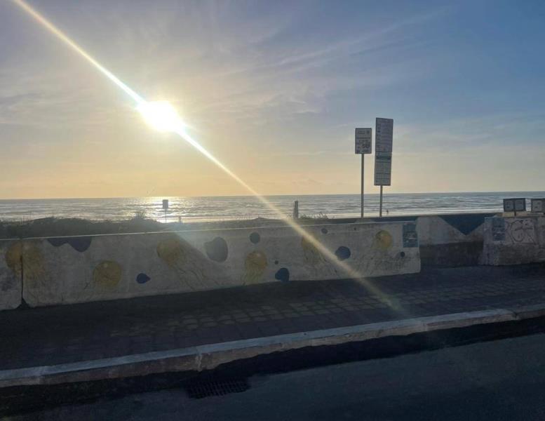 appartamento in vendita a Pomezia in zona Torvaianica