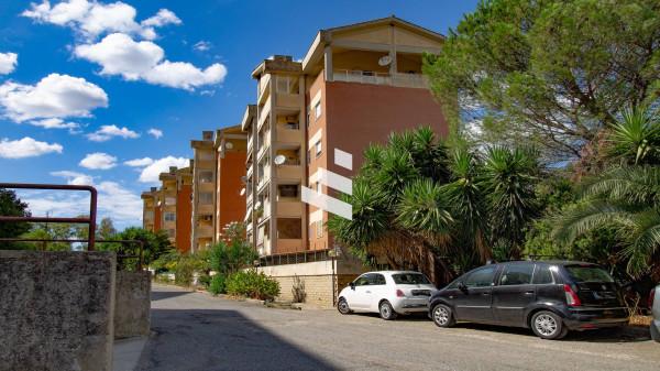 appartamento in vendita a Pomezia in zona Santa Palomba