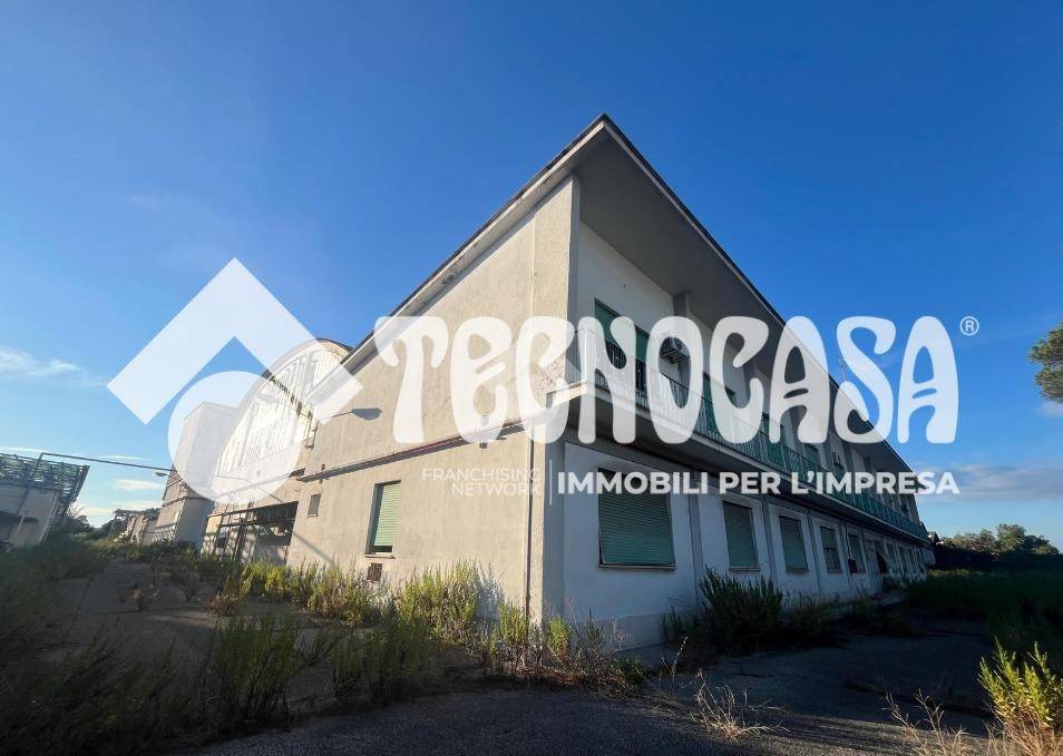 terreno agricolo in vendita a Pomezia in zona Santa Palomba