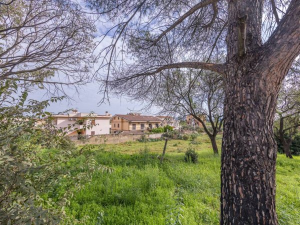 terreno agricolo in vendita a Pomezia in zona Santa Procula