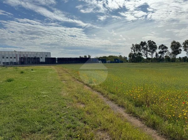 terreno agricolo in vendita a Pomezia in zona Torvaianica