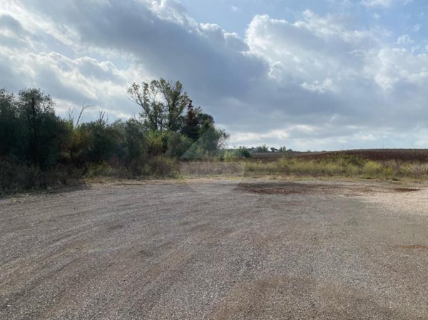 terreno agricolo in vendita a Pomezia