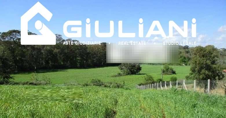 terreno agricolo in vendita a Pomezia