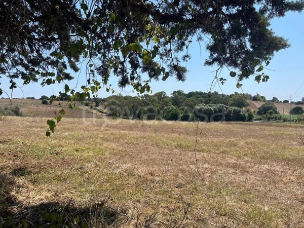 terreno agricolo in vendita a Pomezia in zona Pratica di Mare