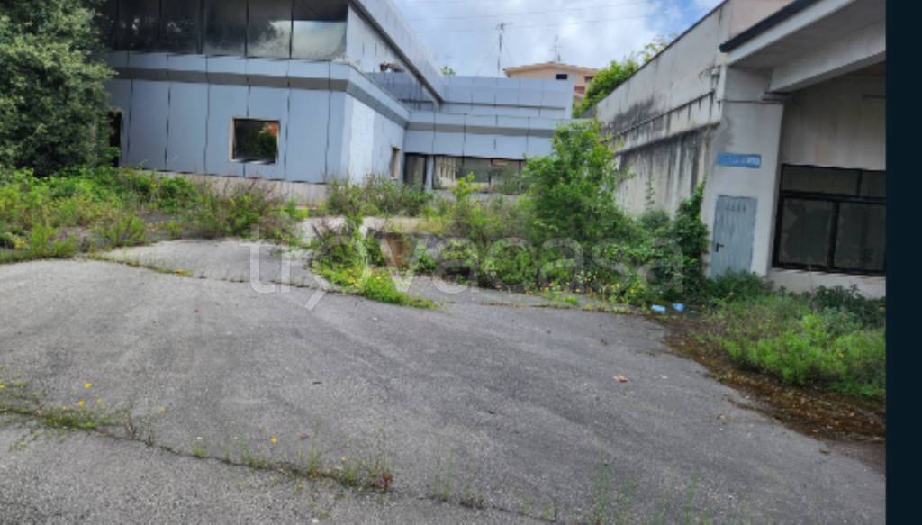 terreno edificabile in vendita a Pomezia