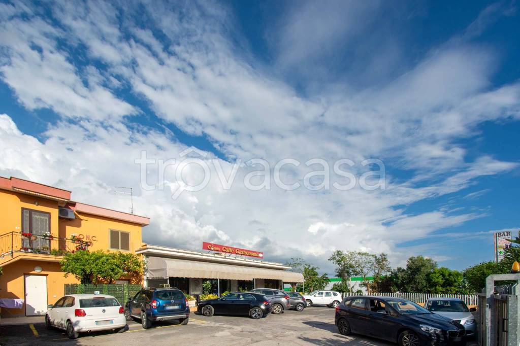 negozio in vendita a Pomezia