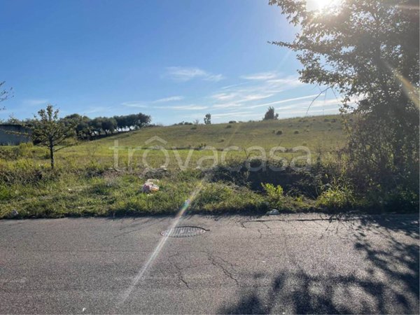 terreno agricolo in vendita a Pomezia in zona Castagnetta