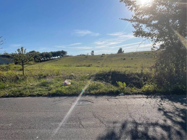 terreno agricolo in vendita a Pomezia in zona Castagnetta