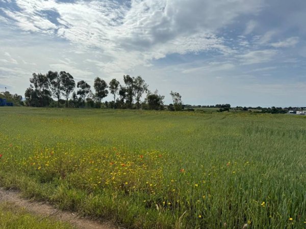 terreno agricolo in vendita a Pomezia in zona Pratica di Mare