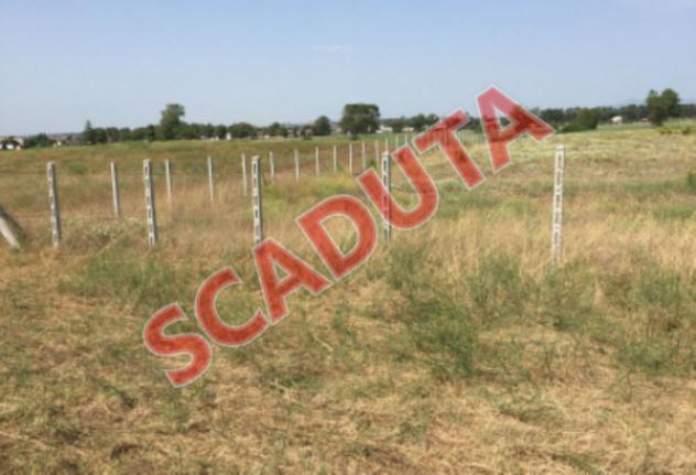 terreno edificabile in vendita a Pomezia