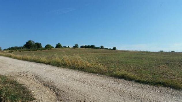 terreno agricolo in vendita a Pomezia in zona Castagnetta