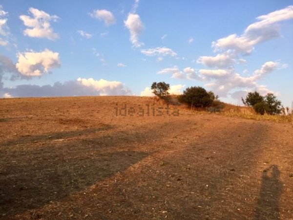 terreno agricolo in vendita a Pomezia