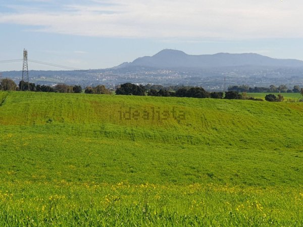 terreno agricolo in vendita a Pomezia