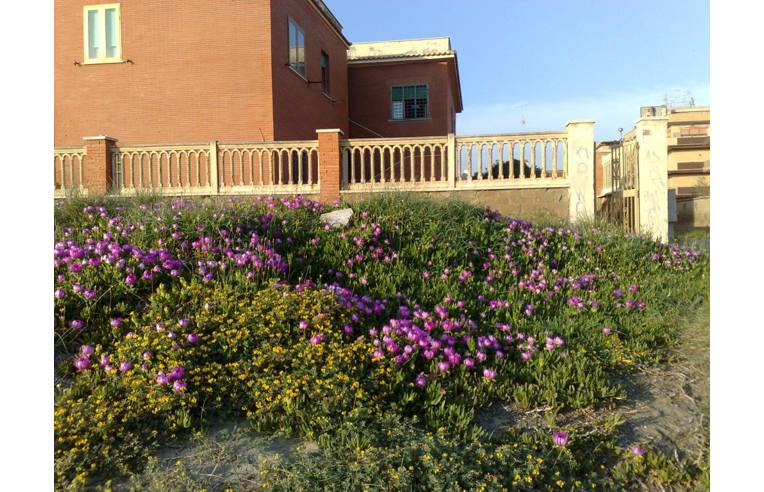 appartamento in vendita a Pomezia in zona Torvaianica