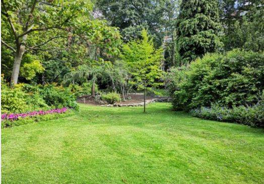 negozio in vendita a Pomezia